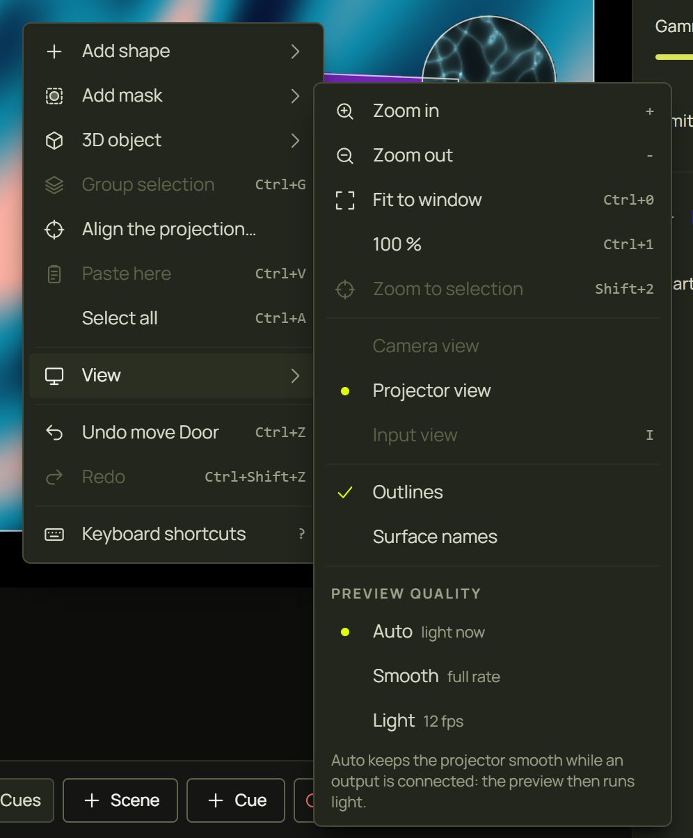 The canvas menu with its View submenu open