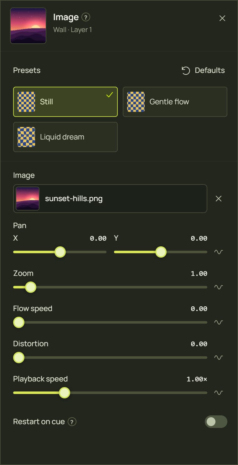 The look panel for the Image look with its presets and settings